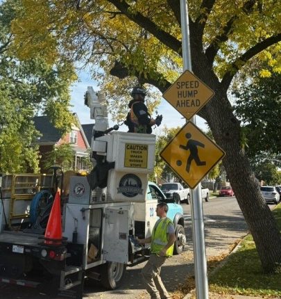 City Lights Pole Replacement